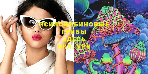 тгк Белокуриха