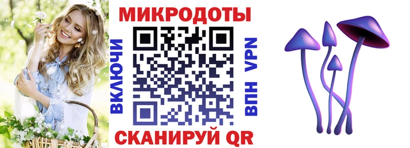 Псилоцибиновые грибы Psilocybe  Новое Девяткино 
