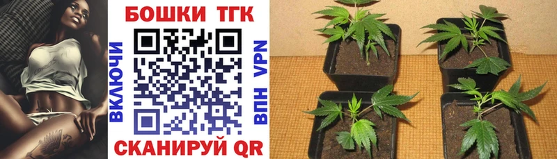 маркетплейс клад  закладки  Новое Девяткино  Каннабис ГИДРОПОН 